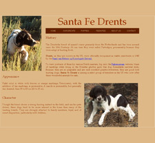 Santa Fe Drents