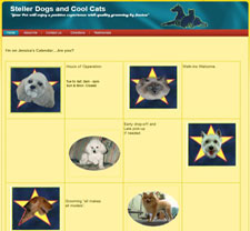 Steller Dogs and Cool Cats